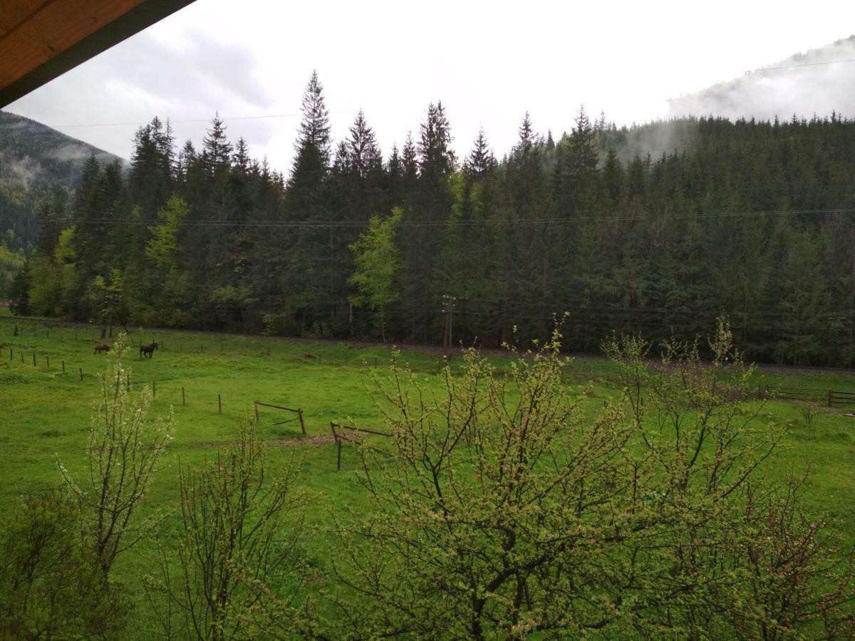 Na Horbyku Hotel Tatariv Bagian luar foto